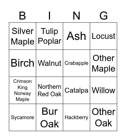 Trees Bingo Card