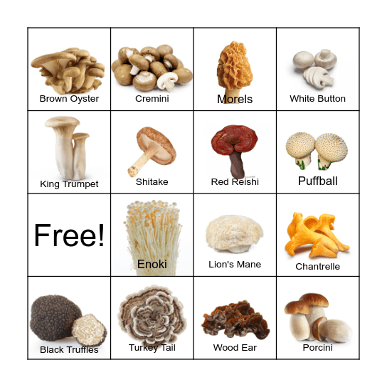 Mushroom Bingo Card