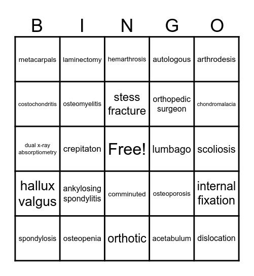 The Skeletal System Ch. 3 Bingo Card