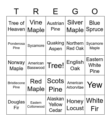 Tringo! Bingo Card