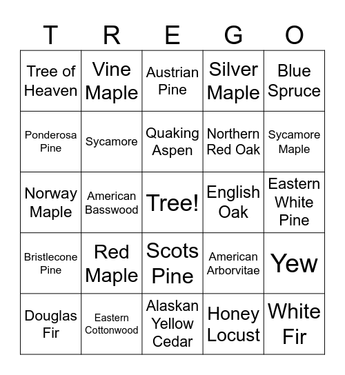 Tringo! Bingo Card