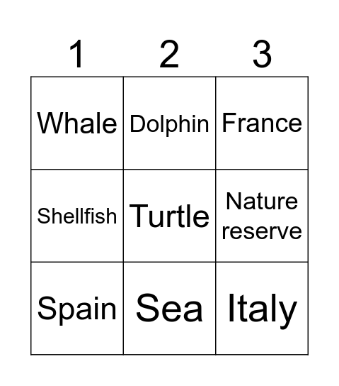 UNIT 5 Bingo Card