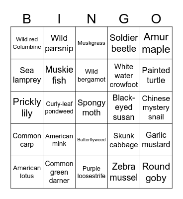 Biology Bingo Card