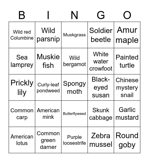 Biology Bingo Card
