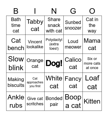 Beach Cat Bingo Card