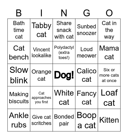 Beach Cat Bingo Card