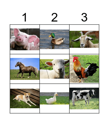 farm animals Bingo Card
