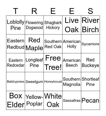 Forestry  Bingo Card