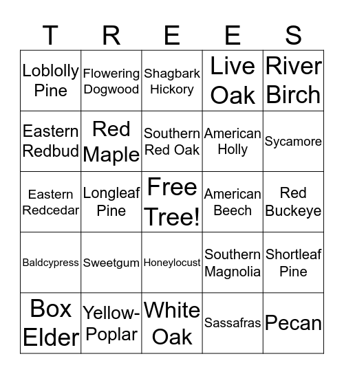 Forestry  Bingo Card