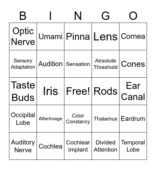 Unit 4: Sensation & Perception Bingo Card