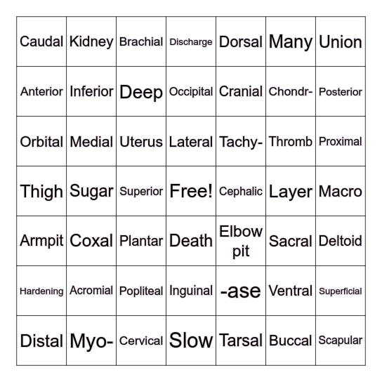 Anatomical Terminology Battle Royale Bingo Card