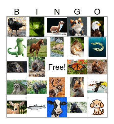 Mi'kmaq Animals Bingo Card