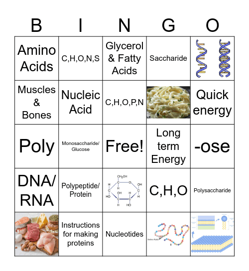 Macromolecules STJ2627 Bingo Card