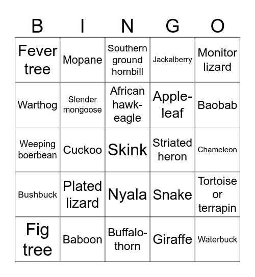 Kruger 2026 - all Bingo Card