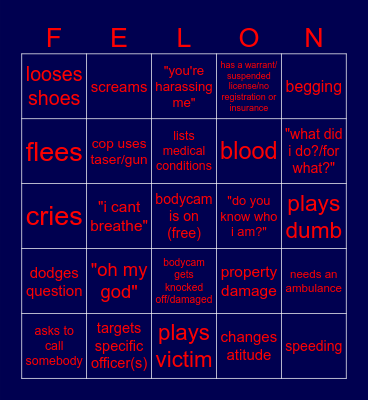 Police Bodycam Bingo Card