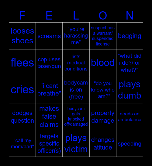 Police Bodycam Bingo Card