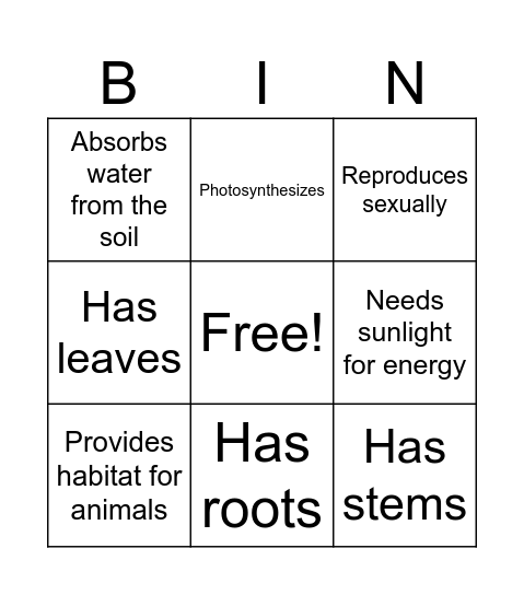 Plant Characteristics Bingo Card