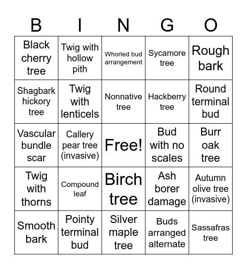 Tree ID Bingo Card