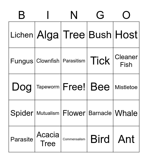 How Do Organisms Interact Bingo Card
