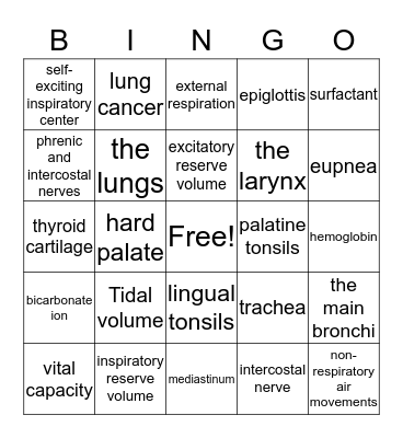 Chapter 13 Bingo Card