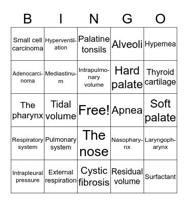 Chapter 13 Bingo Card