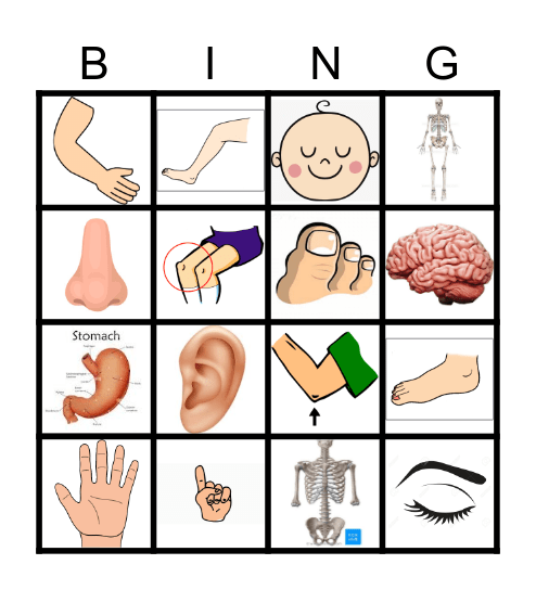Body Bingo Card