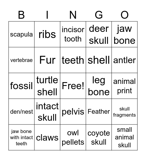 Nature hunt Bingo Card