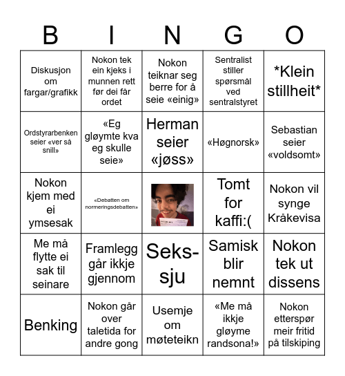 Landsstyrebingo! Bingo Card