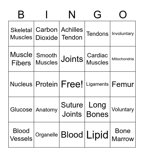 Anatomy Chapters 1-3 Bingo Card