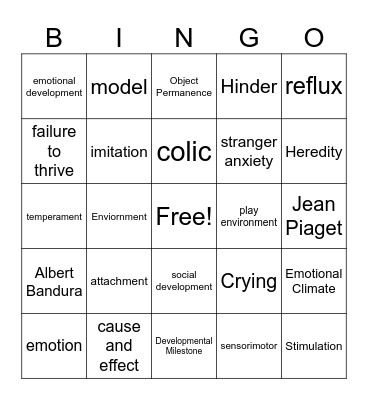 Ch 2: Infants S/E Development Bingo Card