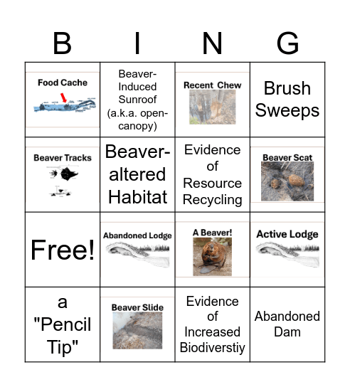 Beaver Bingo Card