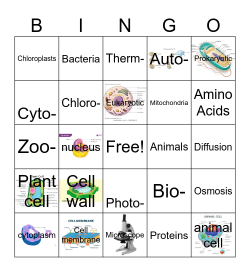 Joshua Saunders Cell Theory Bingo Card