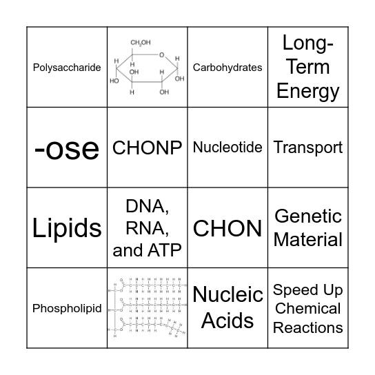 Macromolecules + Elements Bingo Card