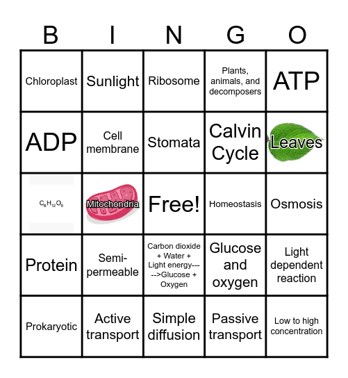 Quarter 1 review Bingo Card
