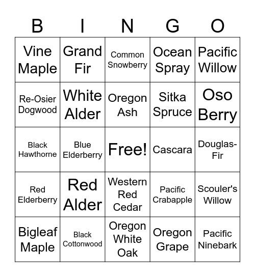 Cub Scouts Den 2 AOL Tree Bingo Card