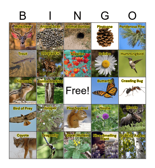 Lincoln Hills Nature Bingo! Bingo Card