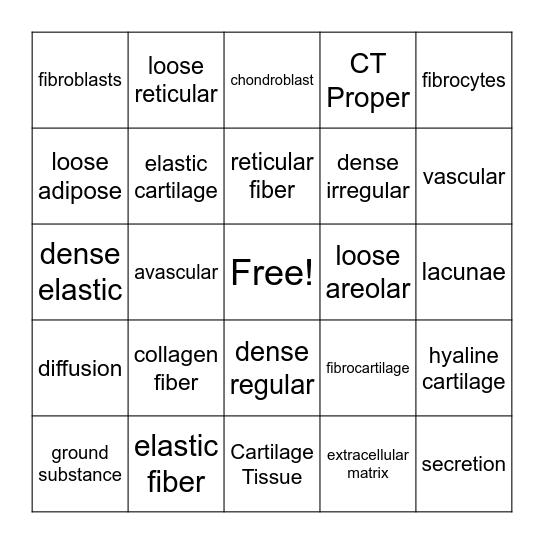 Connective Tissue Bingo Card