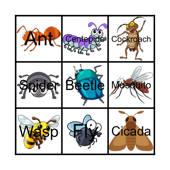 Invertebrates Bingo Card
