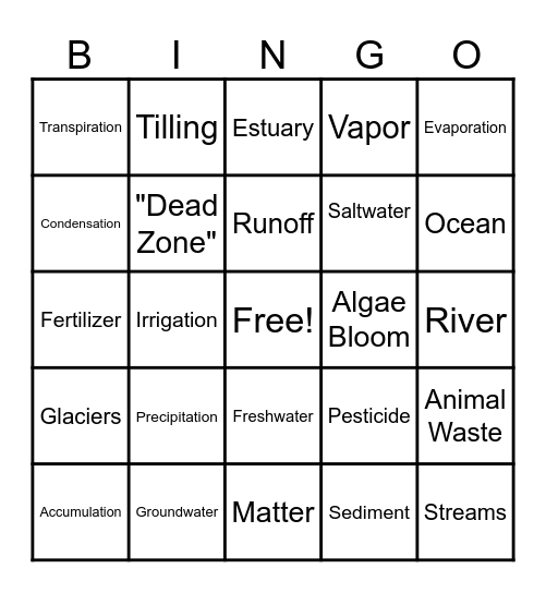 Water Cycle Bingo Card