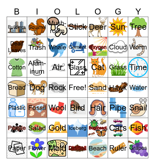 Biotic/Abiotic Factors Bingo Card