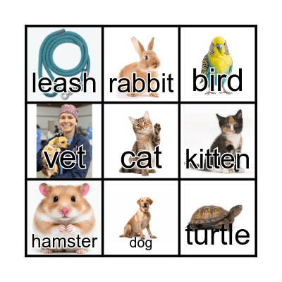 PET BINGO Card