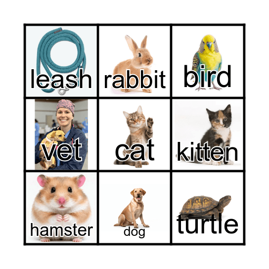 PET BINGO Card