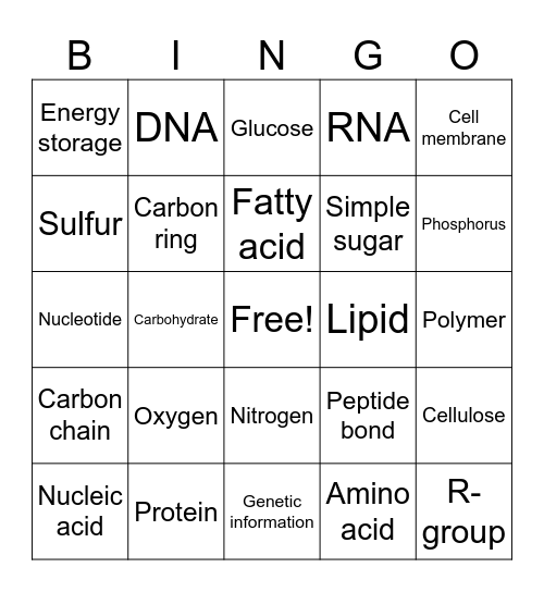 Macromolecules/Elements Bingo Card
