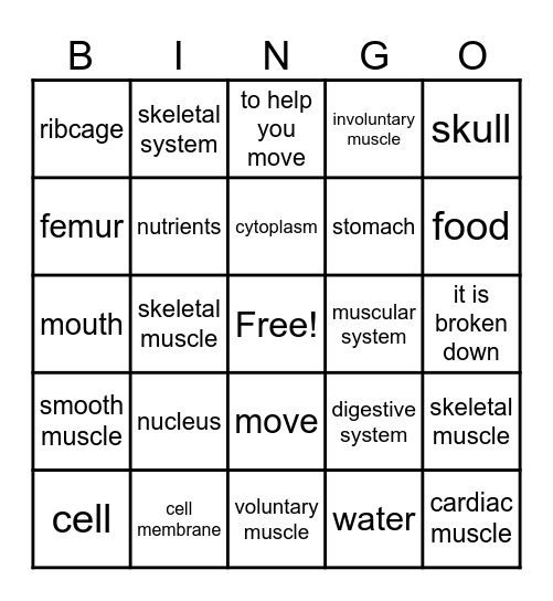The Human Body Bingo Card