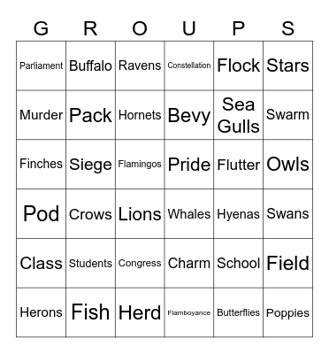 Collective Nouns Bingo Card