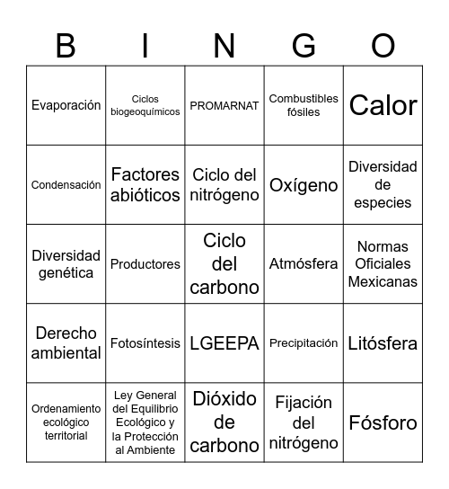 Bingo Ambiental Bingo Card