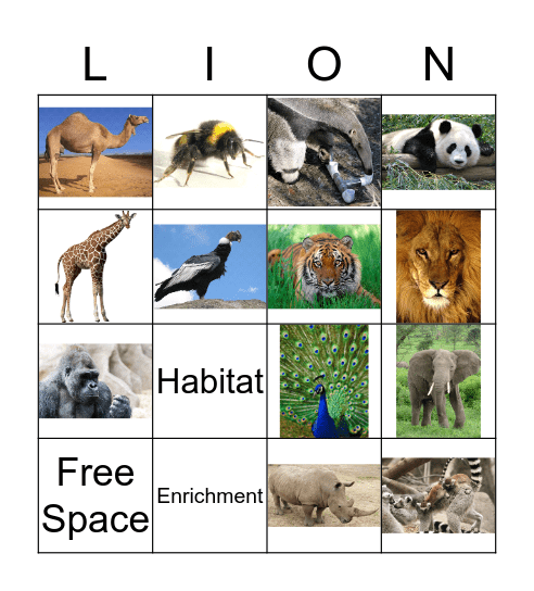 Zoo Bingo Card