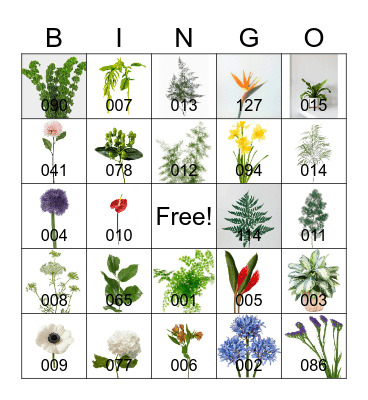 FLORAL ID Bingo Card