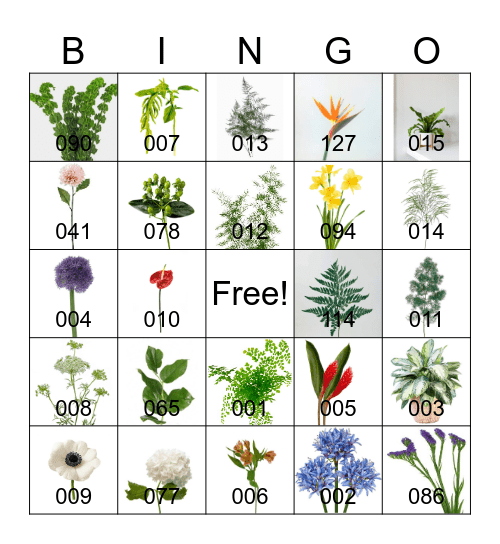 FLORAL ID Bingo Card