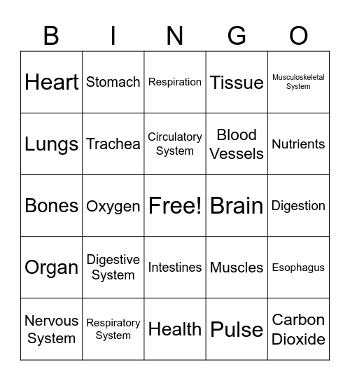 Grade 5 Human Organ Systems Bingo Card